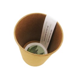 Verre à dents en carton kraft