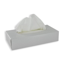Boîte rectangulaire de 100 mouchoirs 2 plis - 11,5 x 23 x 4,9 cm
