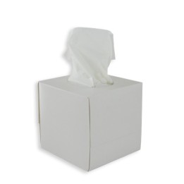 Boîte cube de 60 mouchoirs 3 plis - 11,5 x 11,5 x 11 cm