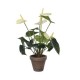 Plante artificielle Anthurium - Hotelpros